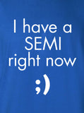 I have a semi right now semicolon grammar english Printed T-Shirt Tee Shirt T Mens Ladies Womens Youth Kids Funny Punctuation Rules  ML-174