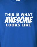 This is what Awesome looks like Funny T-Shirt Tee Shirt Mens Ladies Womens ratchet hip hop swag USA Canada UK geek nerd hipster Tee ML-244